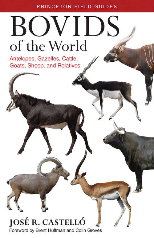Book cover of Bovids of the World: Antelopes, Gazelles, Cattle, Goats, Sheep, and Relatives