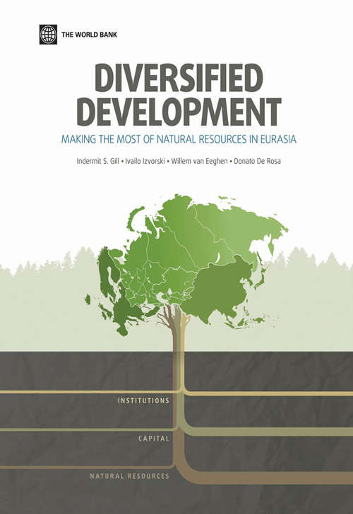 Book cover of Diversified Development