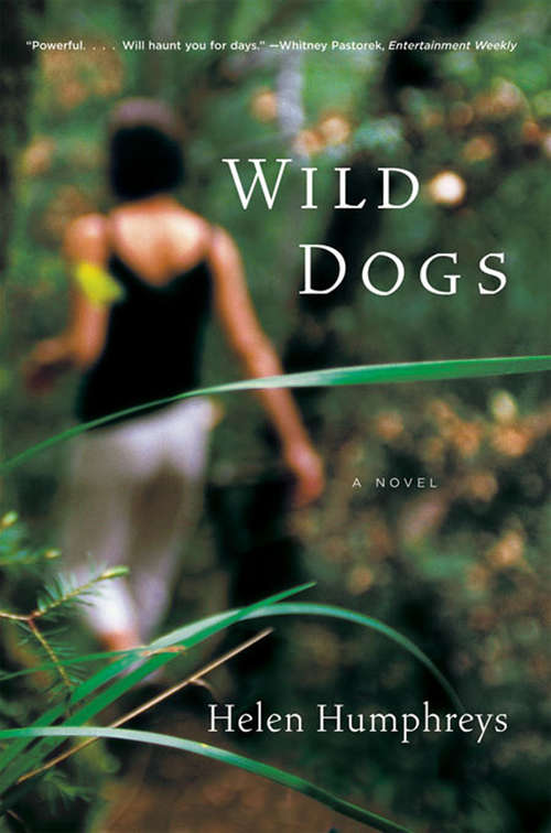 Book cover of Wild Dogs: A Novel