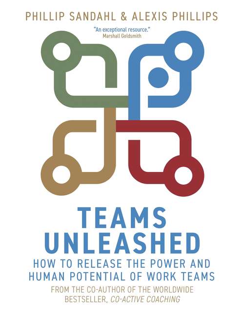 Teams Unleashed: How to Release the Power and Human Potential of Work Teams