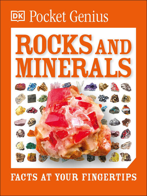 Book cover of Pocket Genius: Facts at Your Fingertips (Pocket Genius)