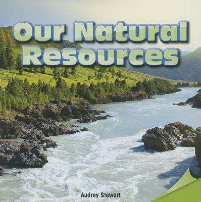 Book cover of Our Natural Resources (Infomax Common Core Readers)