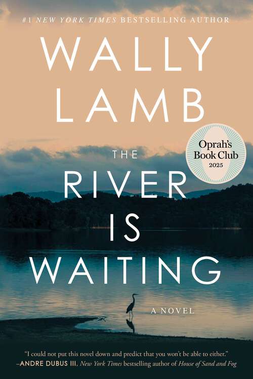 Book cover of The River Is Waiting: A Novel