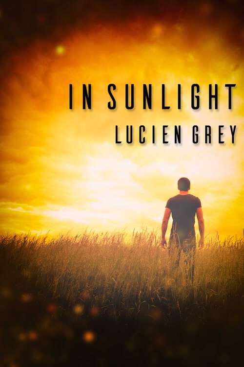 Book cover of In Sunlight