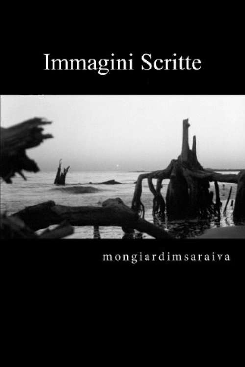 Book cover of Immagini Scritte