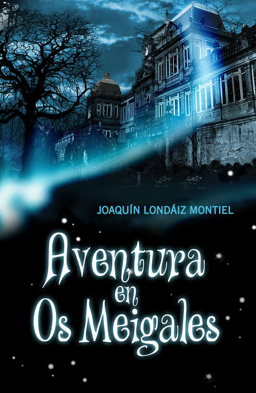 Book cover of Aventura en Os Meigales