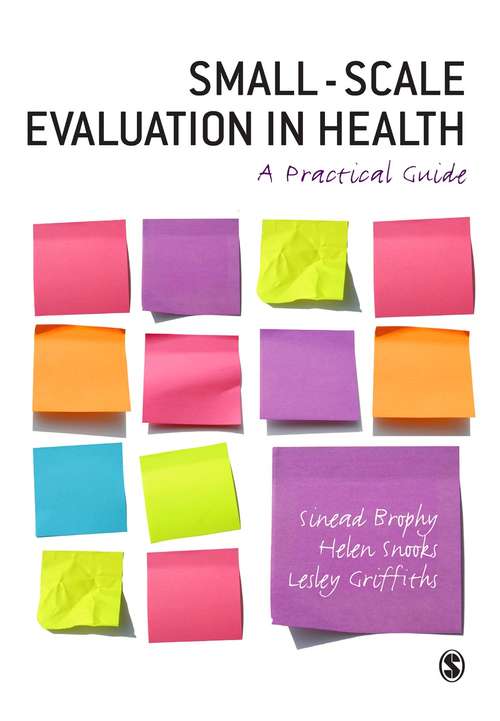 Small-Scale Evaluation in Health: A Practical Guide