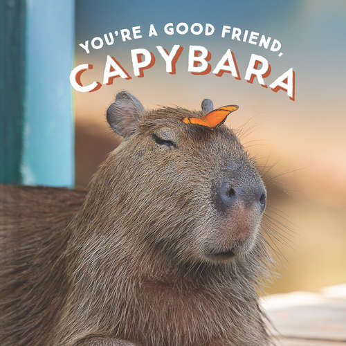 Book cover of You're a Good Friend, Capybara