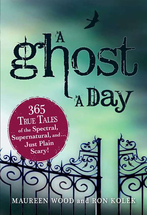 Book cover of A Ghost a Day