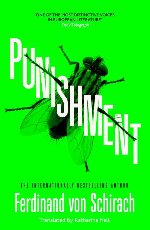 Book cover of Punishment: The gripping international bestseller