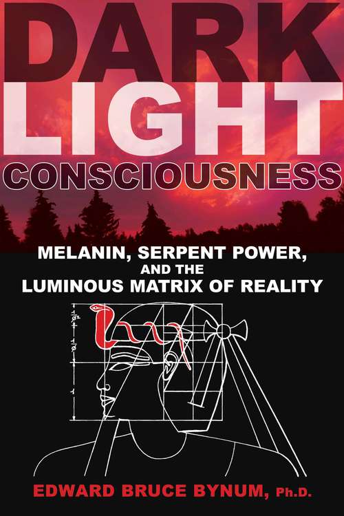 Book cover of Dark Light Consciousness: Melanin, Serpent Power, and the Luminous Matrix of Reality