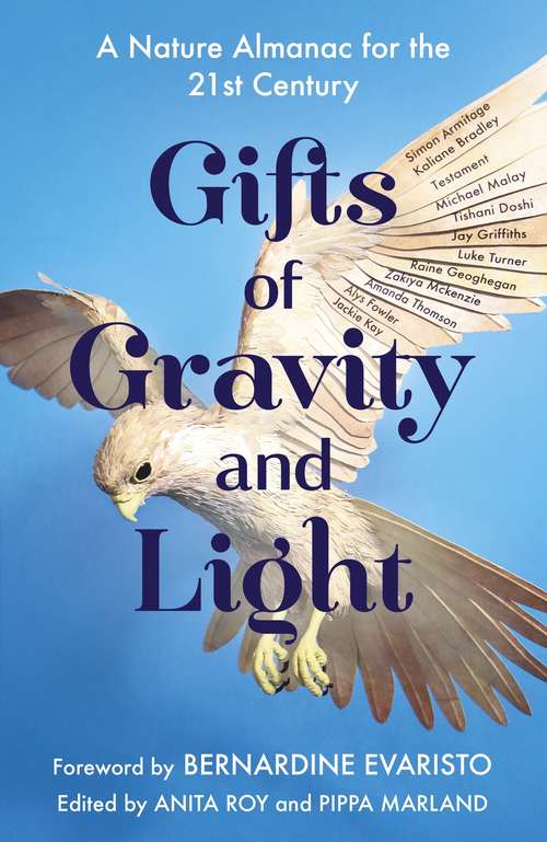 Book cover of Gifts of Gravity and Light
