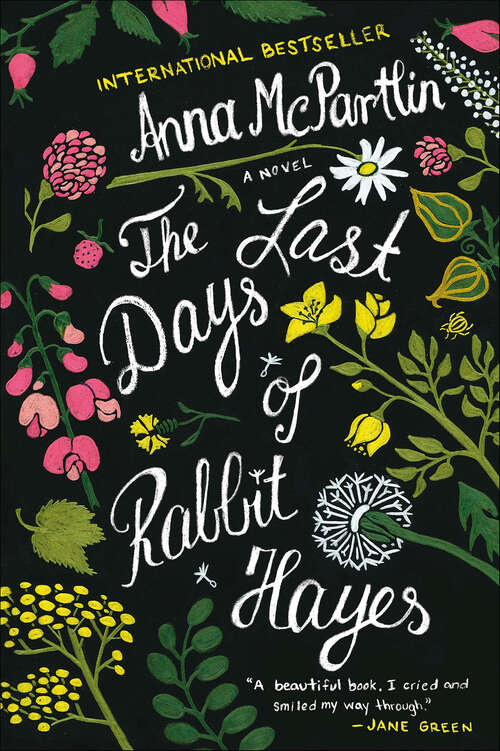Book cover of The Last Days of Rabbit Hayes: A Novel
