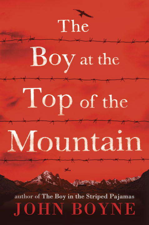 Book cover of The Boy at the Top of the Mountain