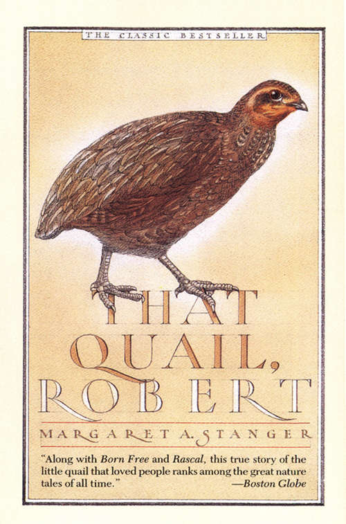 Book cover of That Quail, Robert