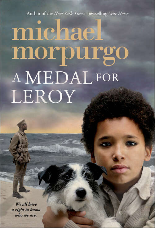 Book cover of A Medal for Leroy