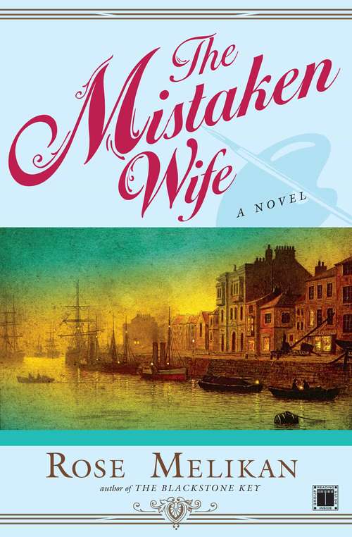Book cover of The Mistaken Wife