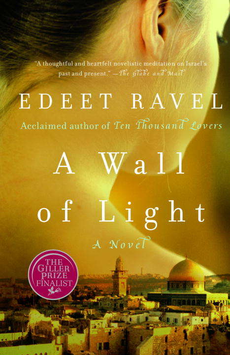 Book cover of A Wall of Light