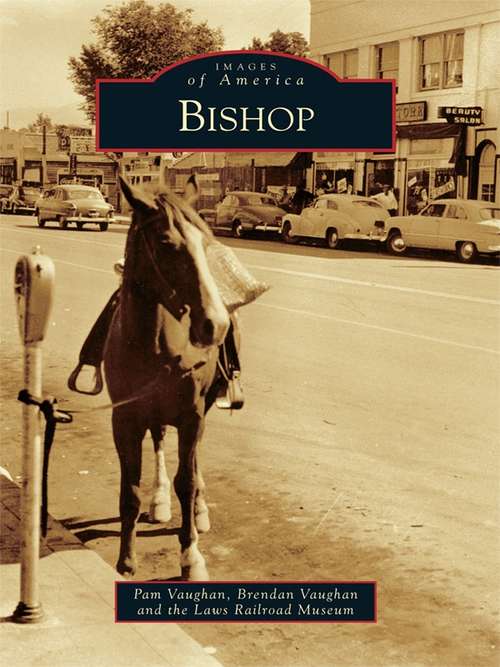 Book cover of Bishop