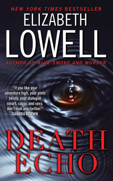 Book cover of Death Echo