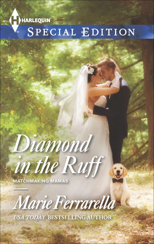 Book cover of Diamond in the Ruff