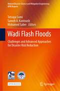 Wadi Flash Floods: Challenges and Advanced Approaches for Disaster Risk Reduction (Natural Disaster Science and Mitigation Engineering: DPRI reports)