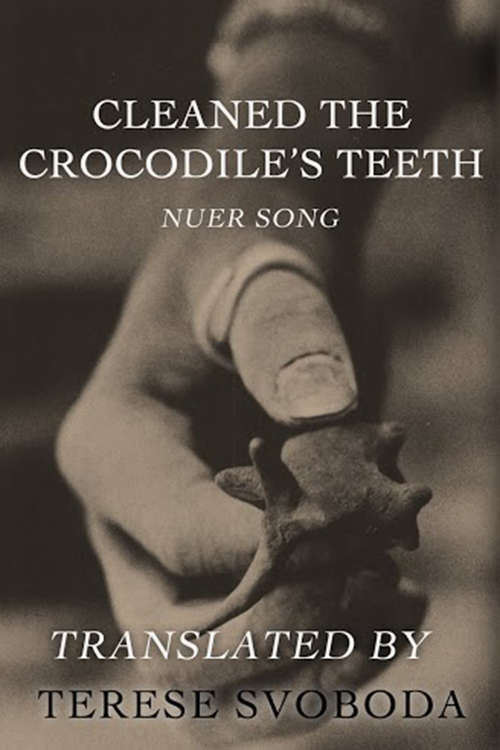 Book cover of Cleaned the Crocodile's Teeth