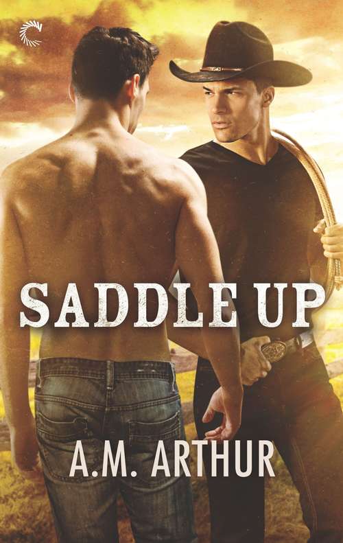 Book cover of Saddle Up (Clean Slate Ranch #3)