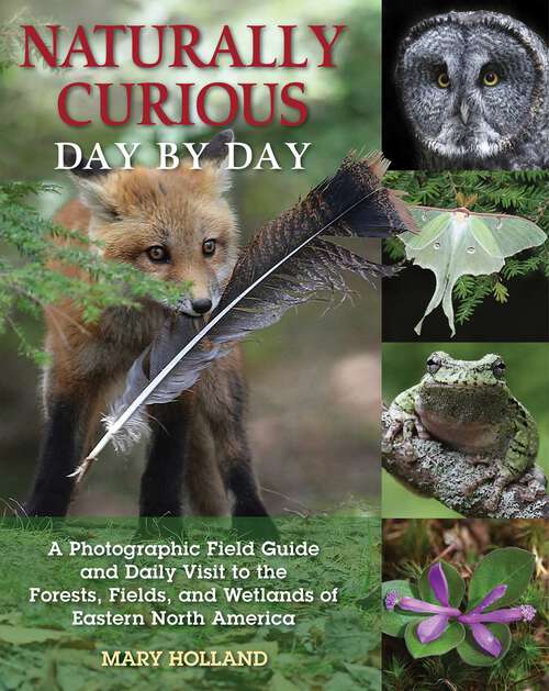 Book cover of Naturally Curious Day by Day: A Photographic Field Guide and Daily Visit to the Forests, Fields, and Wetlands of Eastern North America