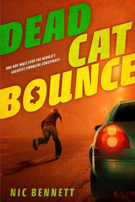Book cover of Dead Cat Bounce