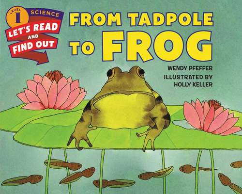 Book cover of From Tadpole to Frog (Let's Read And Find Out)
