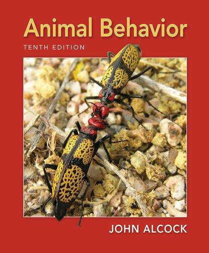 Book cover of Animal Behavior: An Evolutionary Approach