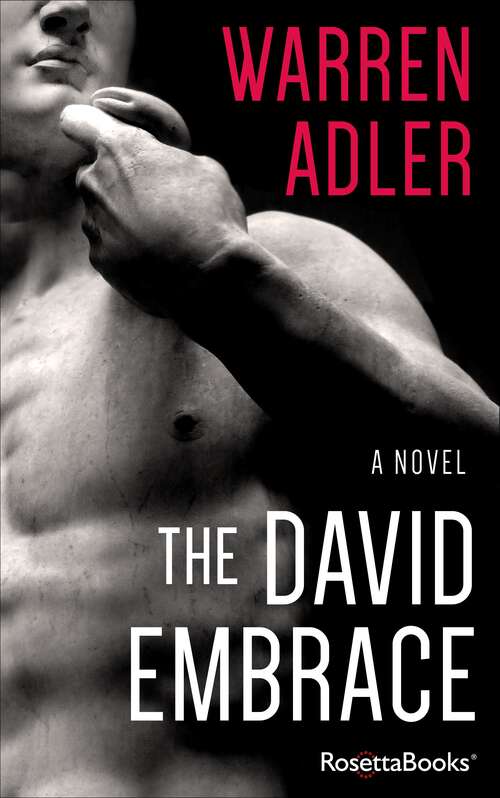 Book cover of The David Embrace