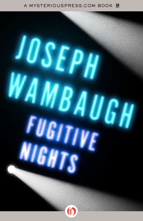 Book cover of Fugitive Nights