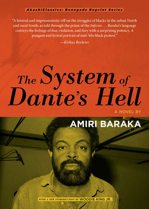 Book cover of The System of Dante's Hell