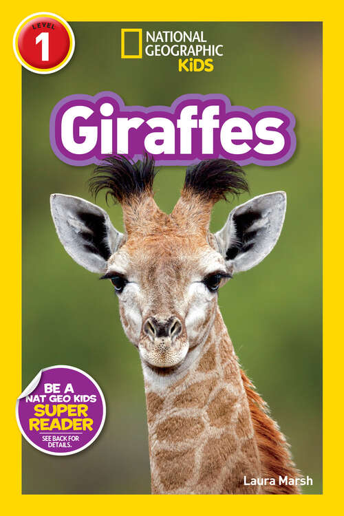 Book cover of Giraffes (Readers)