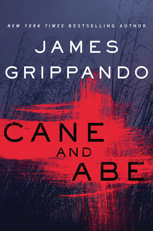 Book cover of Cane and Abe