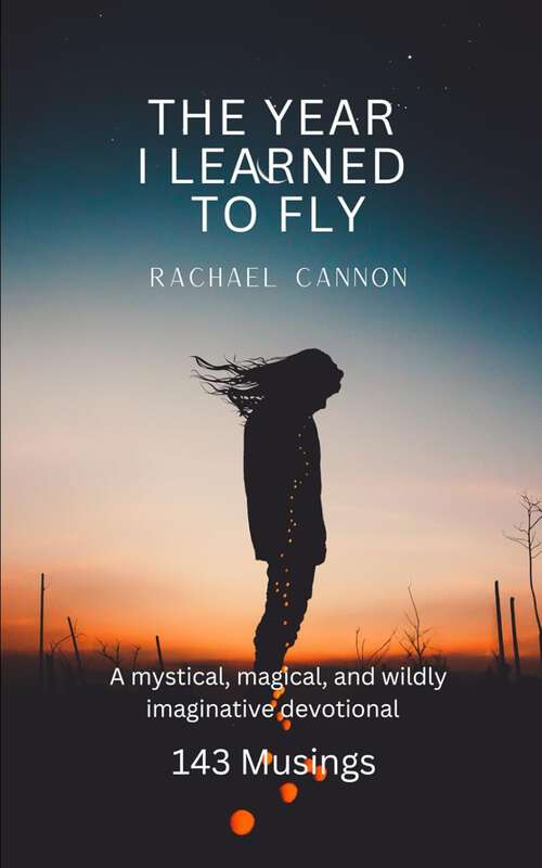 Book cover of The Year I Learned To Fly: A mystical, magical, and wildly imaginative devotional