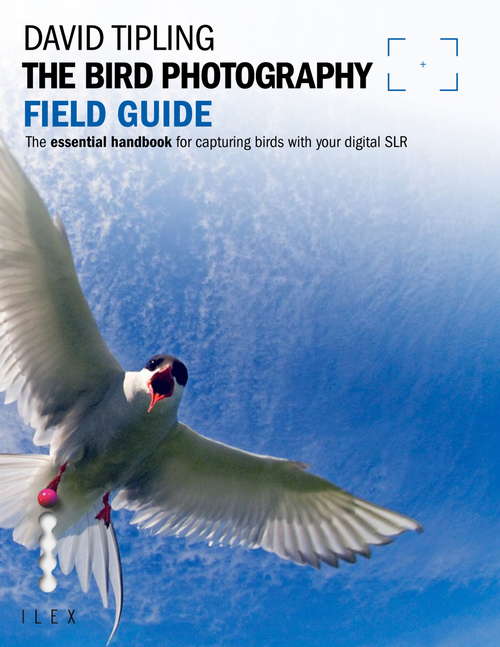 Book cover of The Bird Photography Field Guide