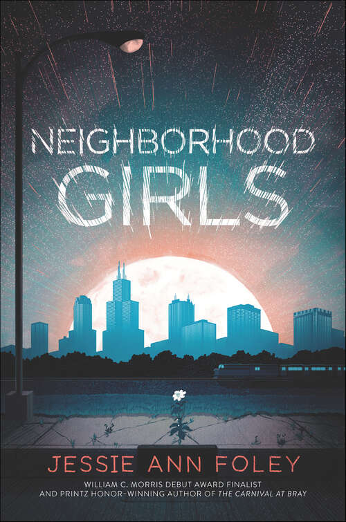 Book cover of Neighborhood Girls