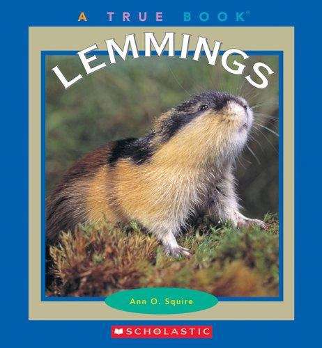 Book cover of Lemmings (A True Book)