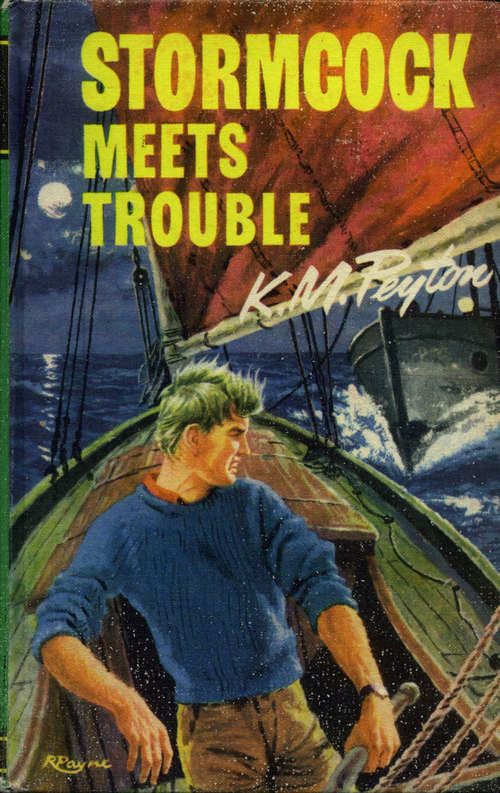 Book cover of Stormcock Meets Trouble
