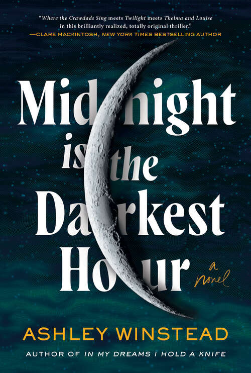 Book cover of Midnight Is the Darkest Hour: A Novel