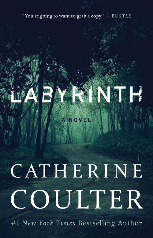 Book cover of Labyrinth (An FBI Thriller #23)