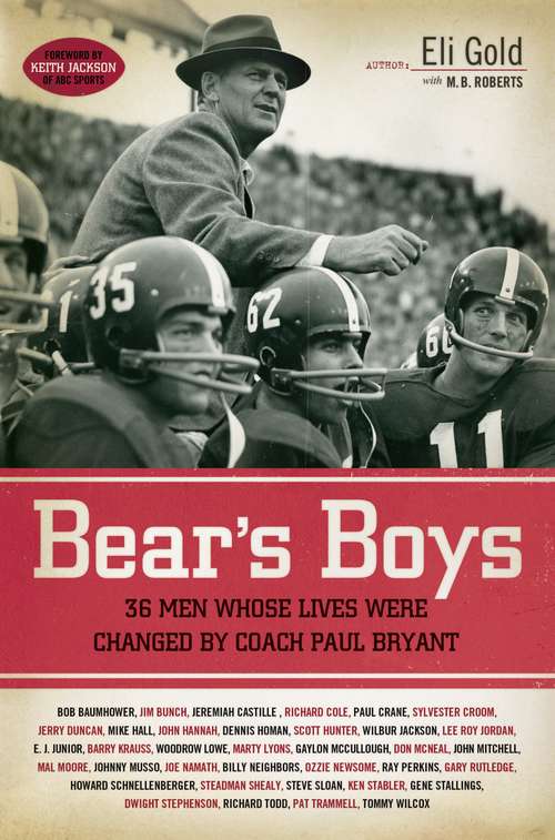 Book cover of Bear's Boys