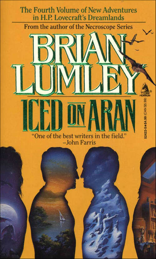 Book cover of Iced on Aran (Dreamlands #4)