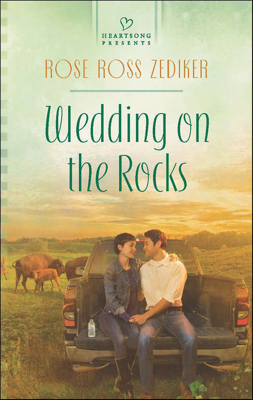Book cover of Wedding on the Rocks