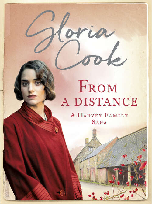Book cover of From A Distance (The Harvey Family Sagas)