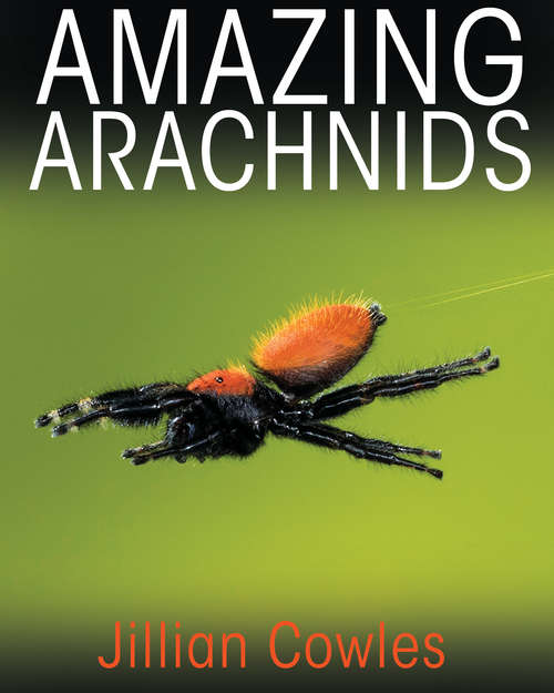 Book cover of Amazing Arachnids