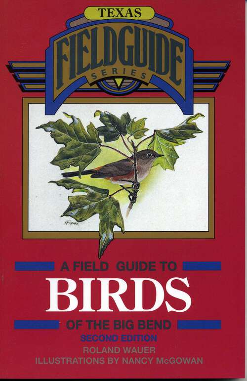 Book cover of A Field Guide to Birds of the Big Bend (2nd Edition)
